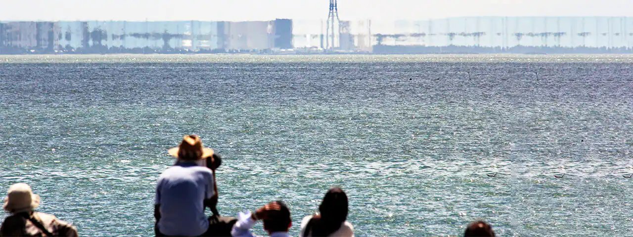 🌲 우오즈 매몰림 박물관(우오즈 마이보츠린 하쿠부츠칸) 이미지 10